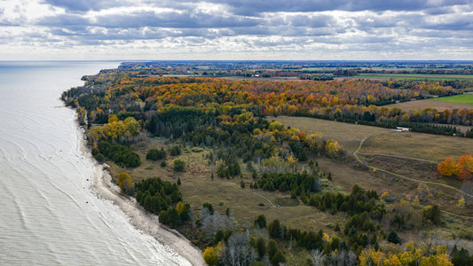 The Quiet Beauty of Fall in Door County