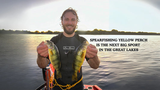 Why Spearfishing Yellow Perch is the Next Big Sport in the Great Lakes