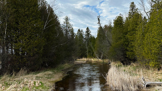 Reibolts Creek