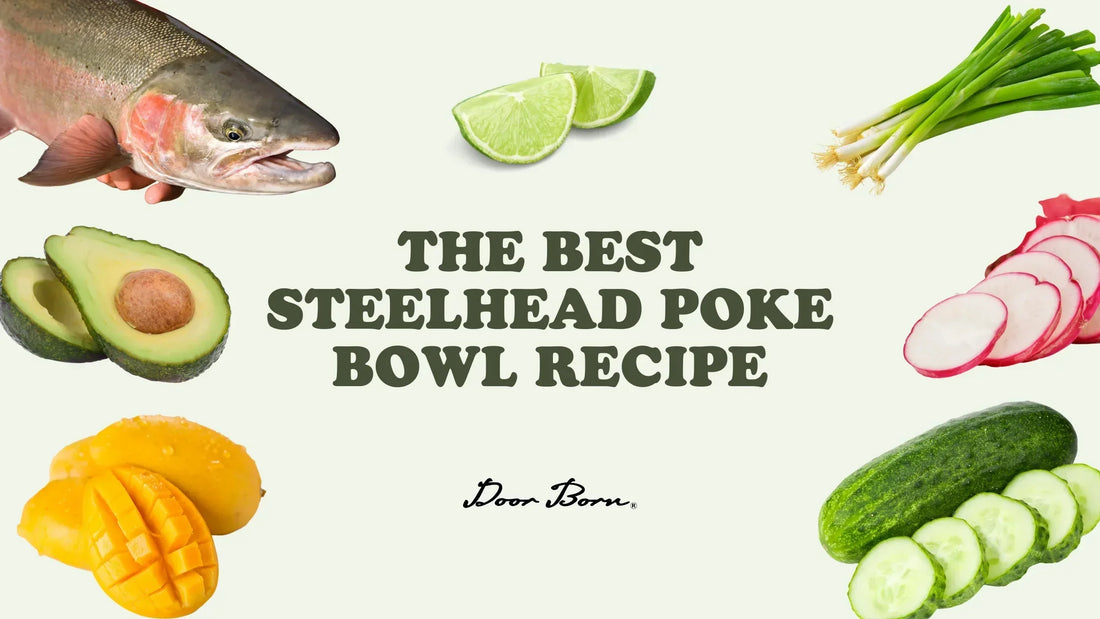 The Best Steelhead Poke Bowl Recipe – Fresh, Delicious, and Easy to Make