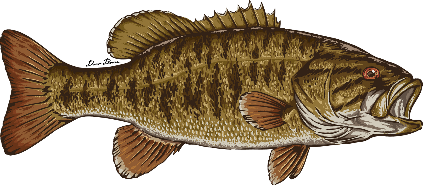 Smallmouth Bass Sticker