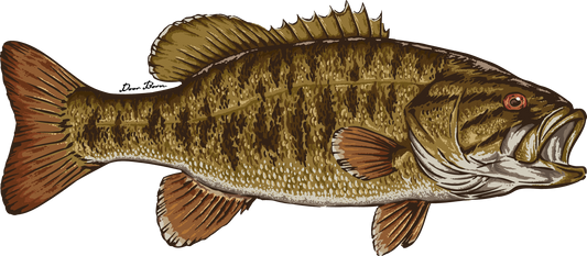 Smallmouth Bass Sticker